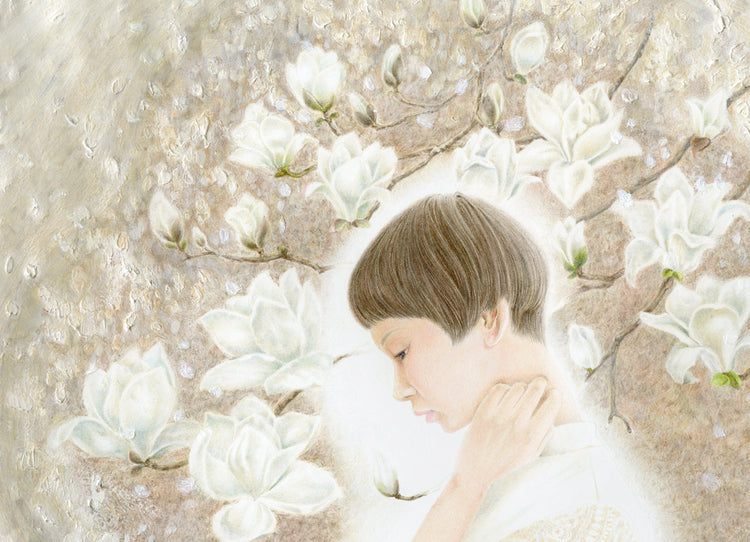 木蓮