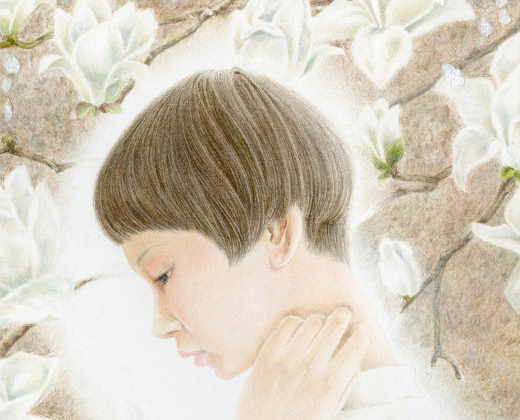木蓮