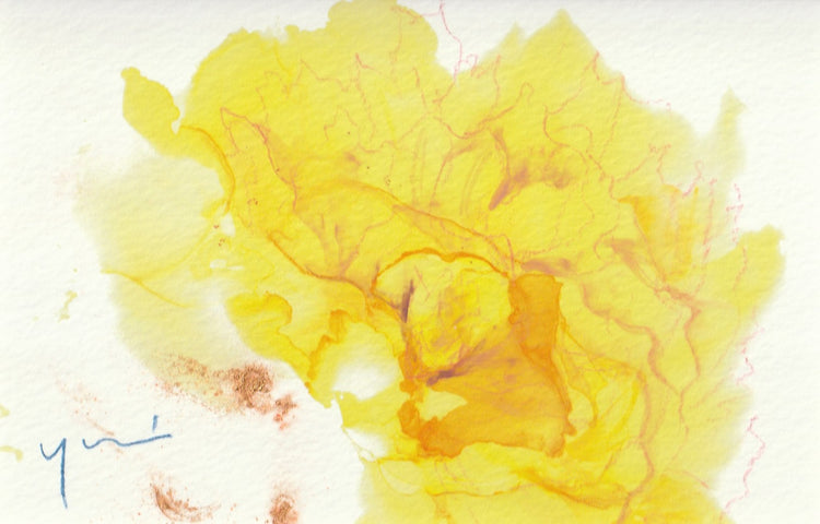 ブローチ　Light